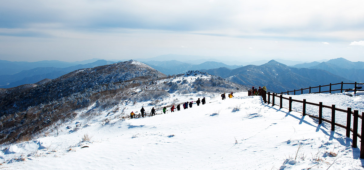 茂朱郡徳裕山正常 - 雪景色