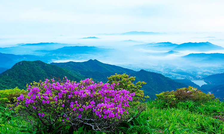 Muju Spring