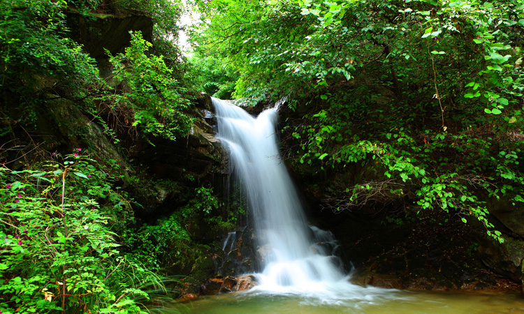 Muju Summer