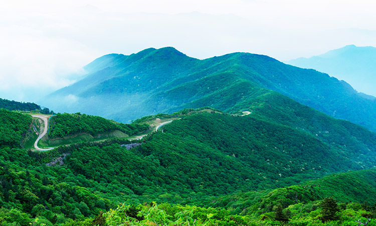 Deokyu Mountain