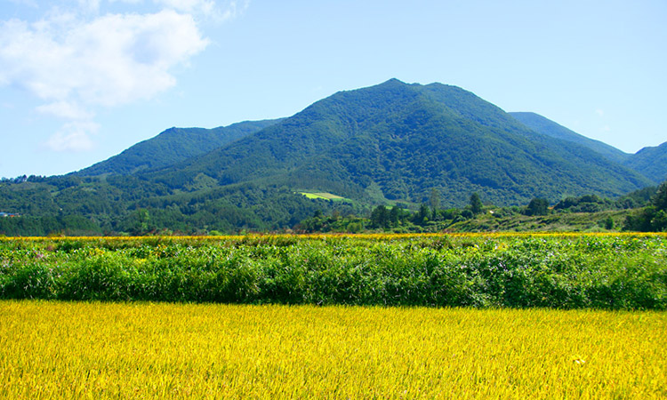 大徳山