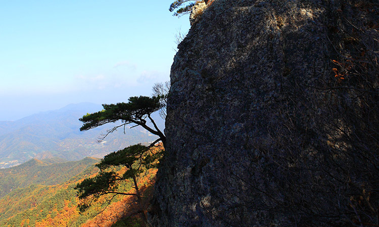 鳥項山