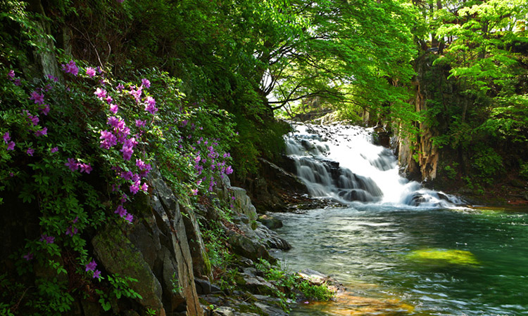 Yongchu waterfall
