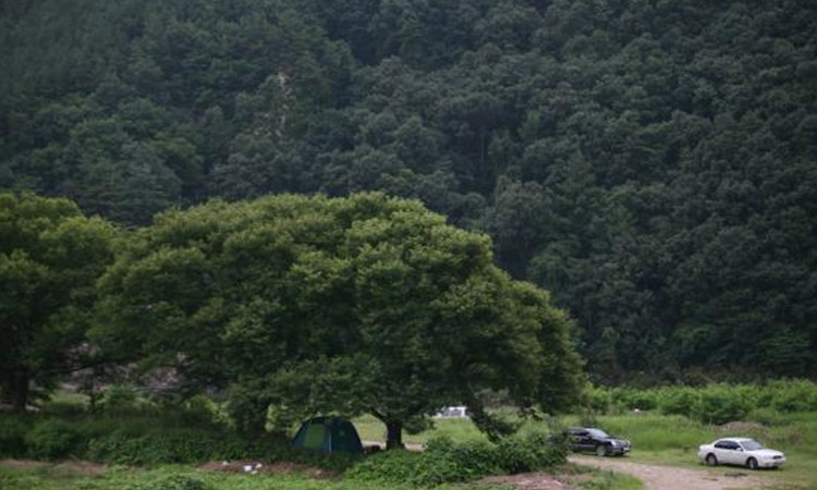 内島(ﾈﾄﾞ)里の川辺遊園地