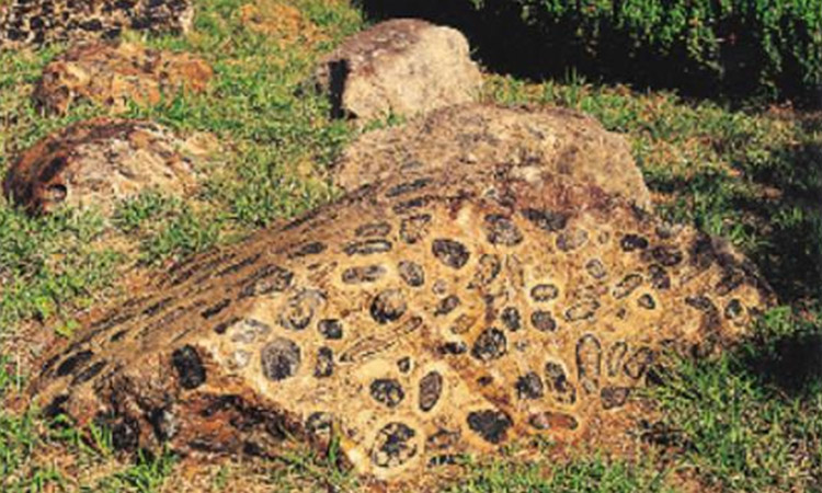 Globular Granite Gneiss