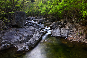 Sajadam