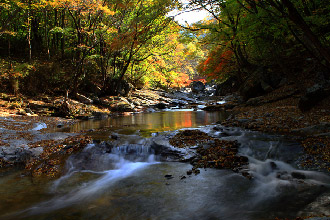 Cheonnyudong