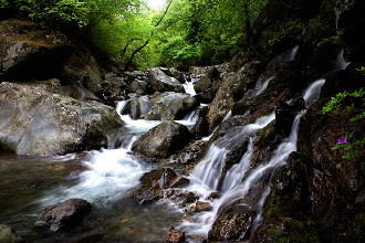 Sinyangdam