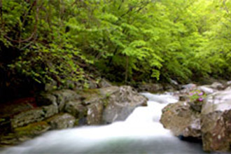 Baengnyeondam