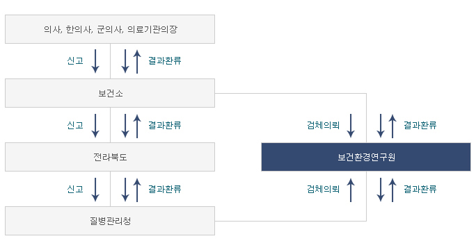 신고보고체계(내용있음)