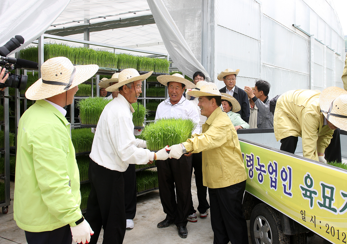 2012.05.15  고령농업인 육묘지원 첫 출하