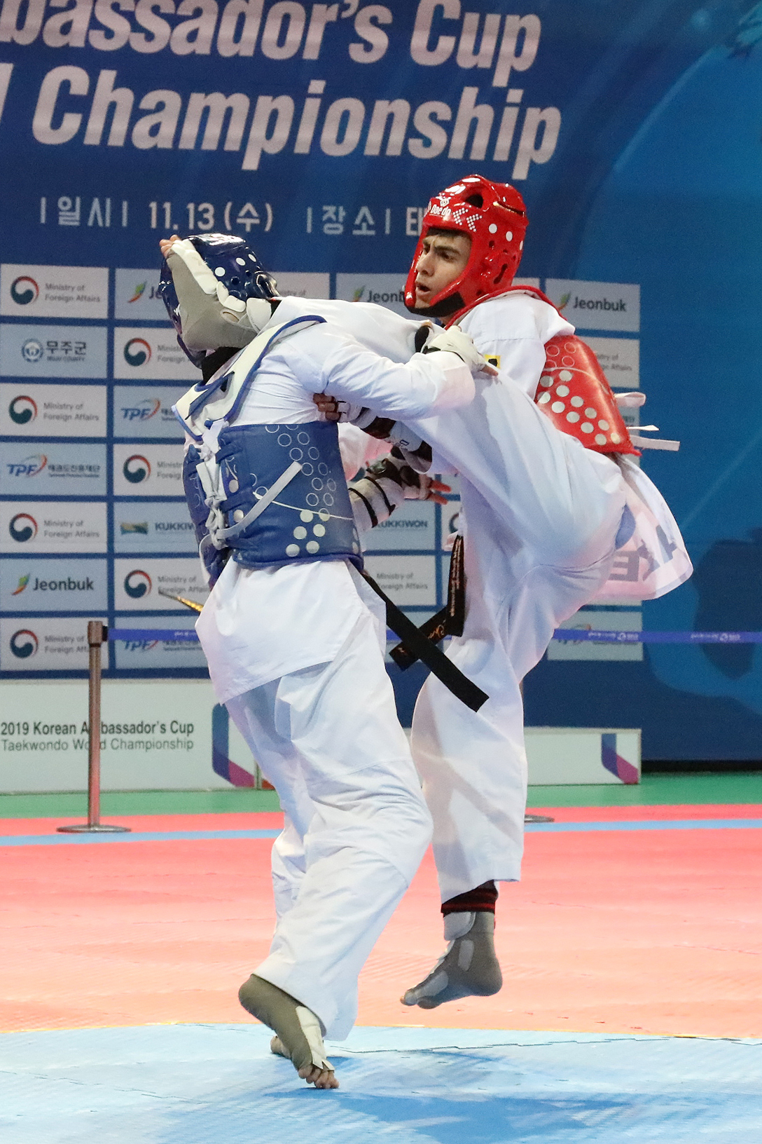 2019.11.13. 2019 대사배 태권도대회 세계결선
