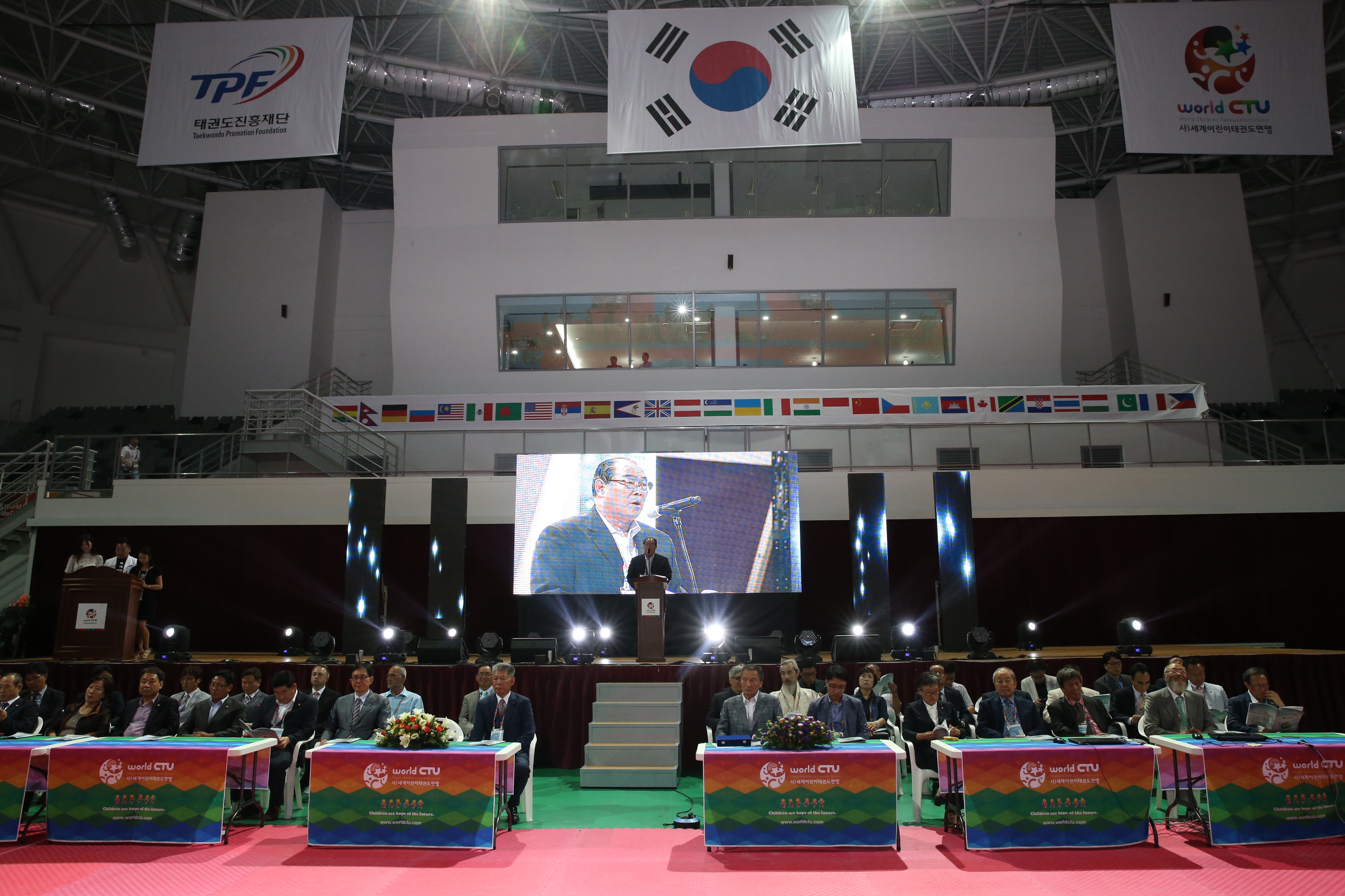 2015.08.08. 세계어린이태권도 문화축제 2