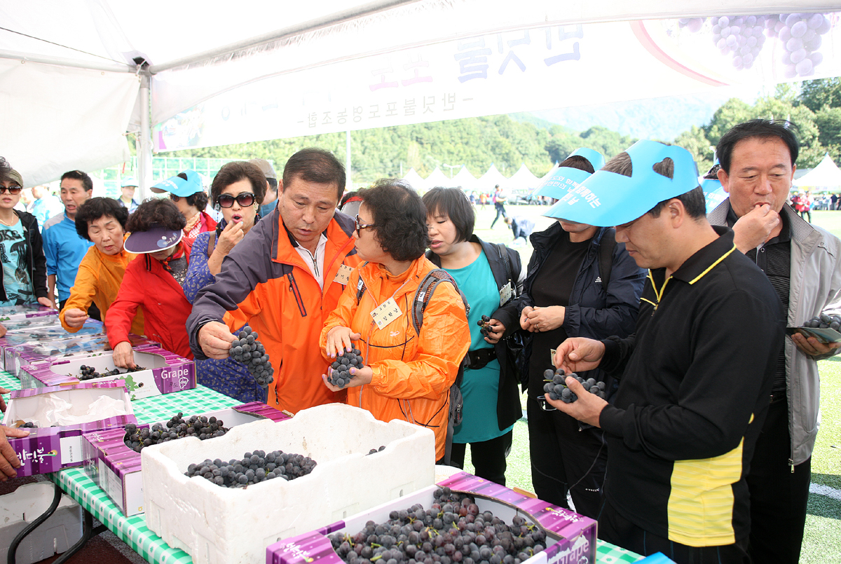 2012.10.03  반딧불포도와 함께 하는 제21회 설천면민의 날