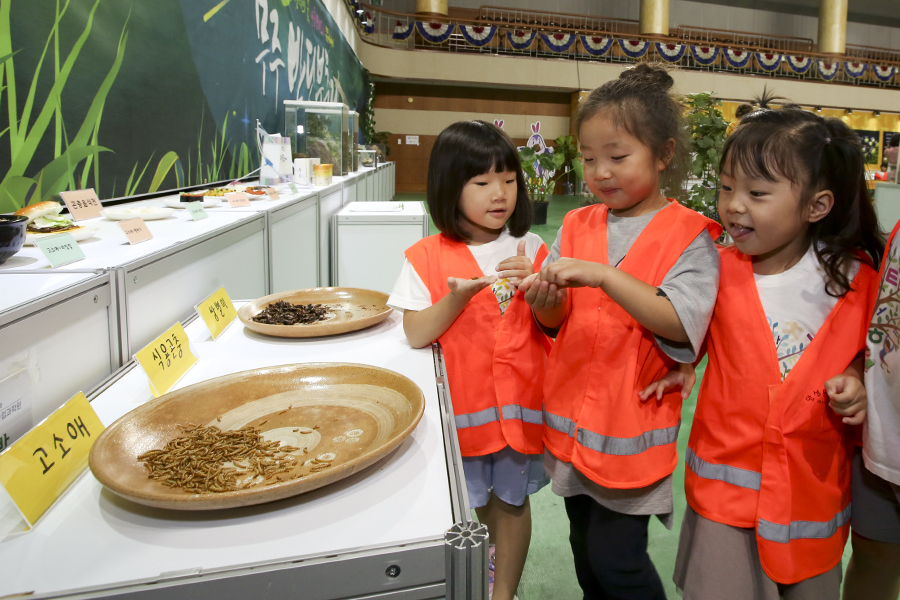 2019.08.31~08. 무주반딧불축제(곤충체험관)