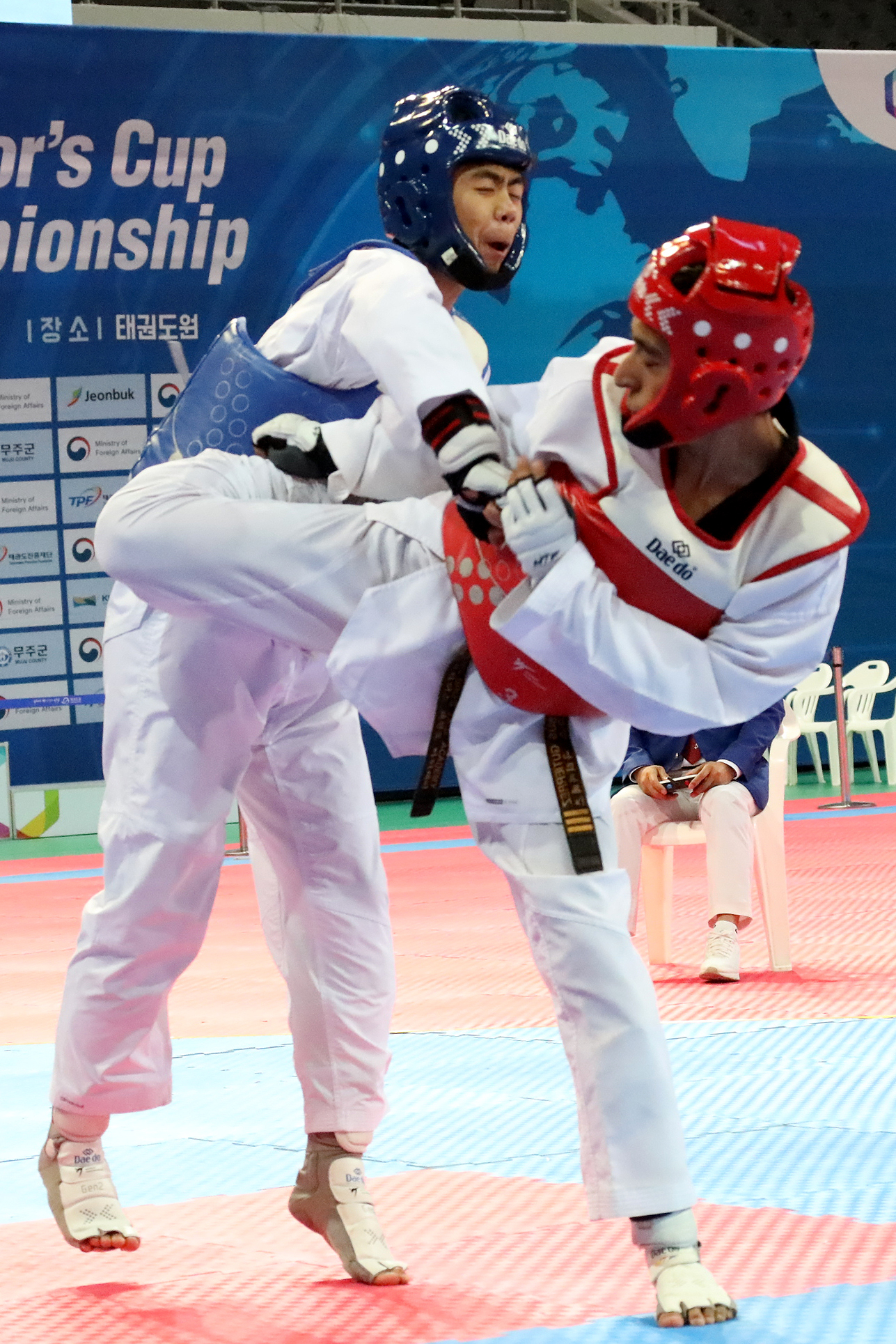 2019.11.13. 2019 대사배 태권도대회 세계결선