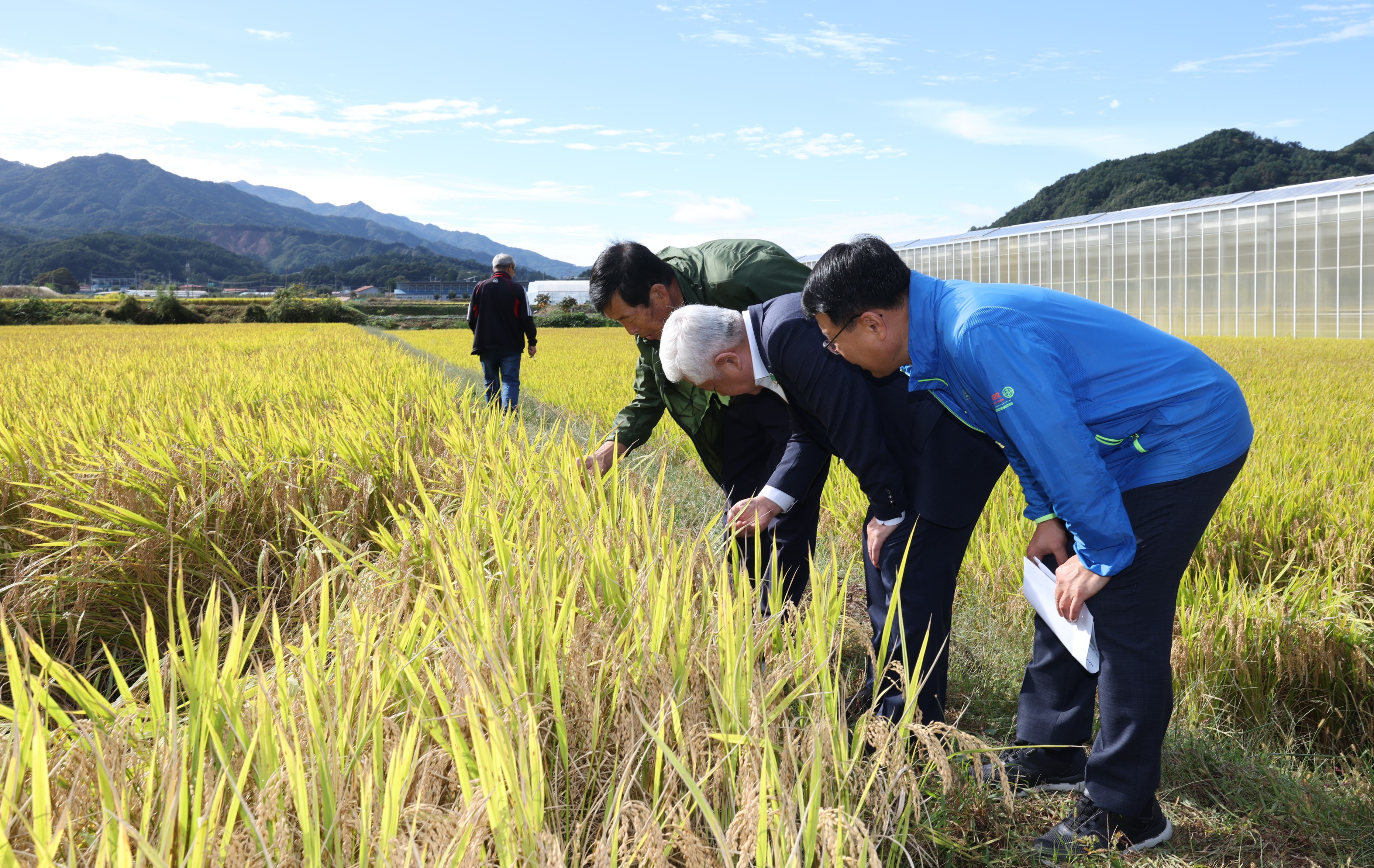 2025.10.15. 신동진1 생육평가회