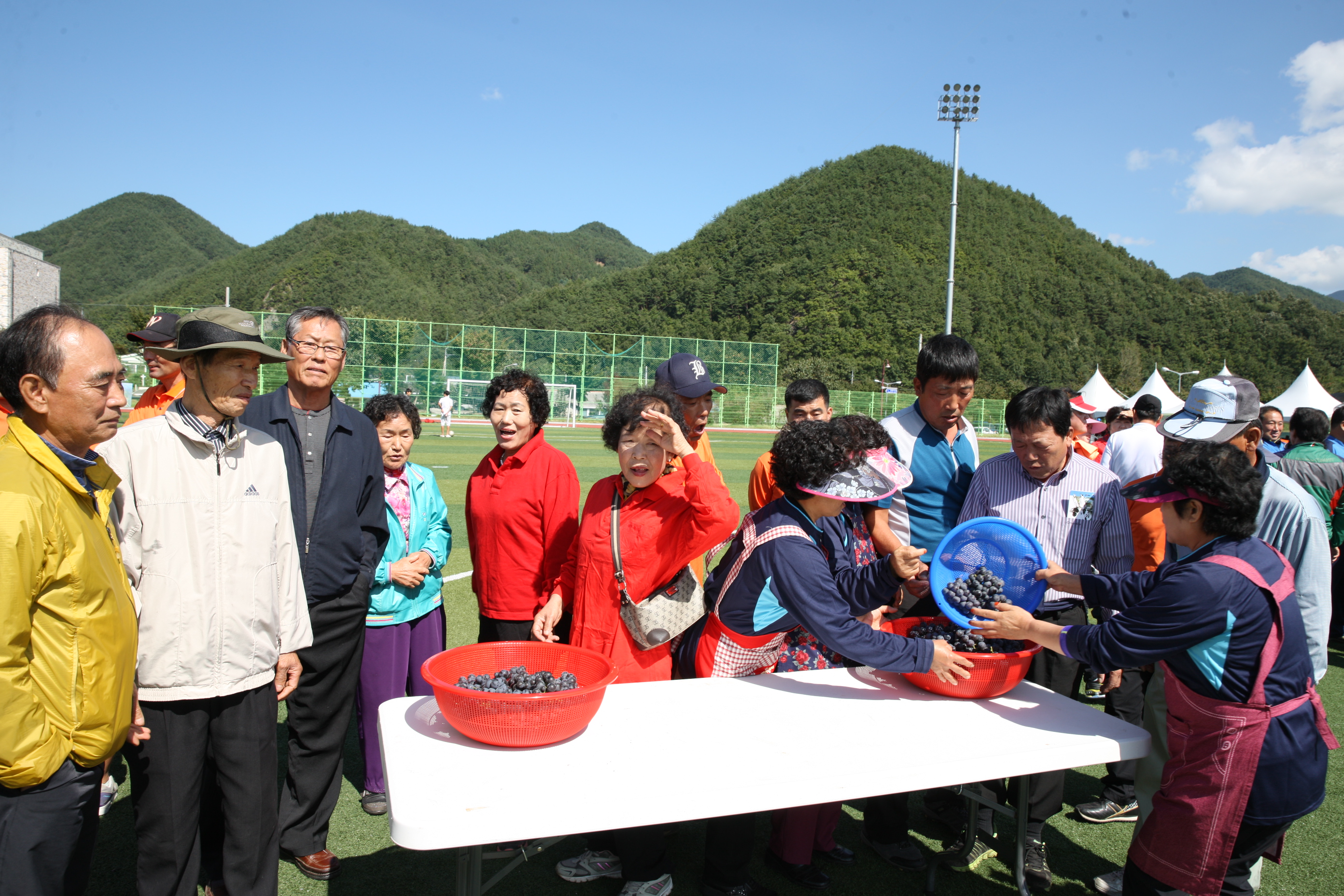 2013.10.03. 제22회 설천면민의 날 포도축제