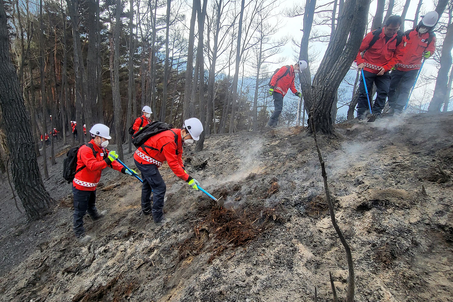 2025.03.27. 부남면 산불 진화 현장 (무주군 공무원 산불진화대)