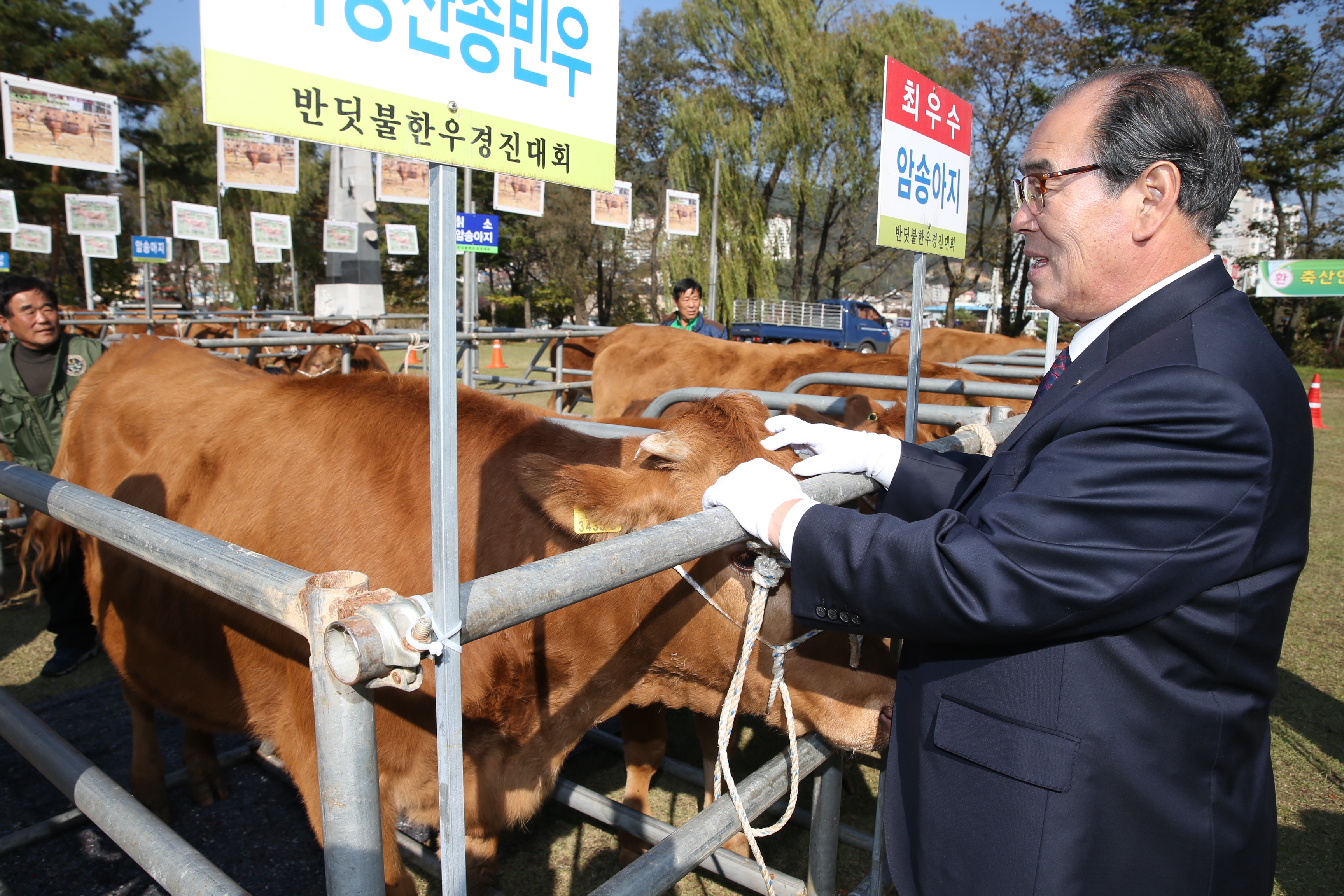 2016.11.04. 제2회 무주 반딧불 농특산물 대축제-한우경진대회
