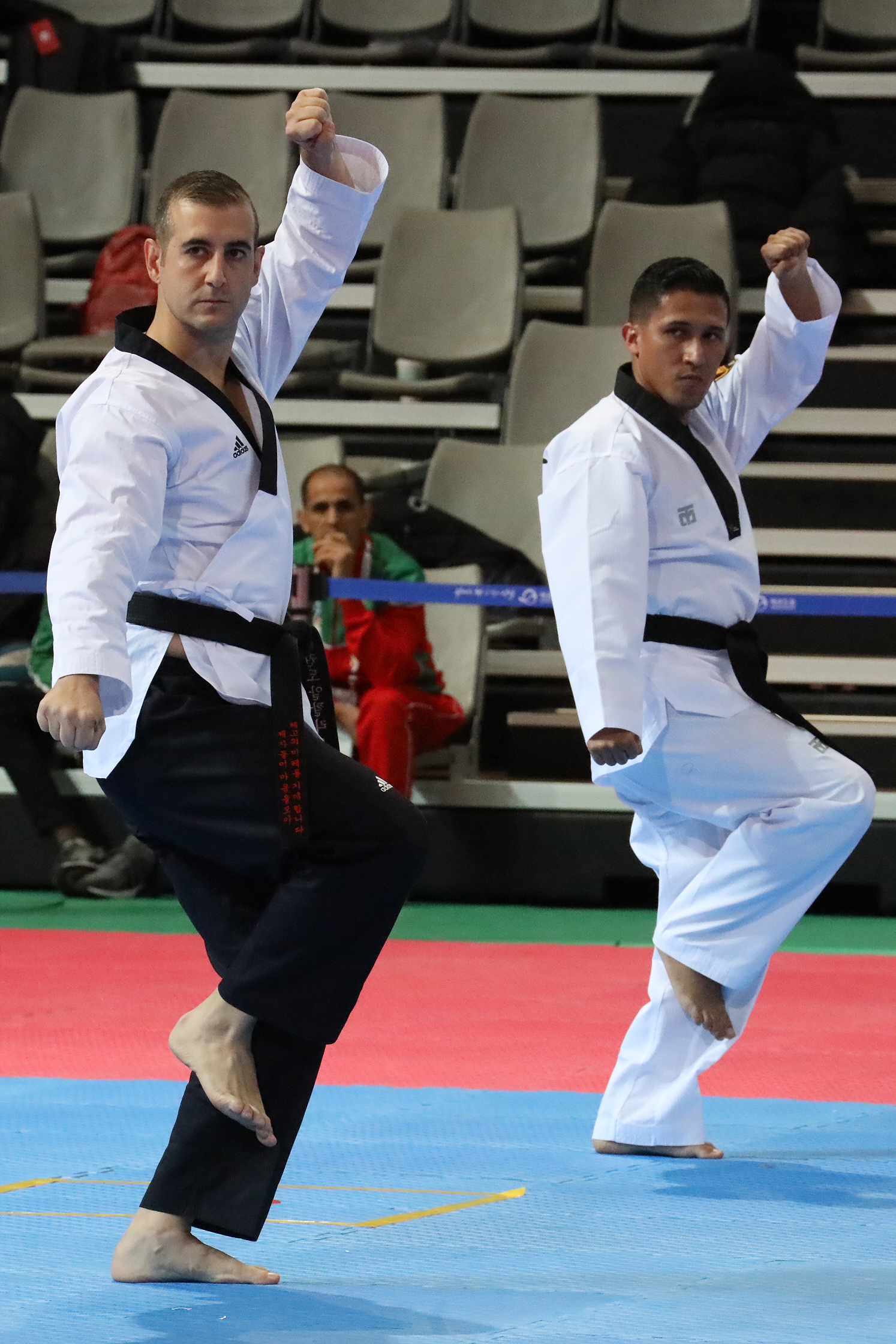 2019.11.13. 2019 대사배 태권도대회 세계결선