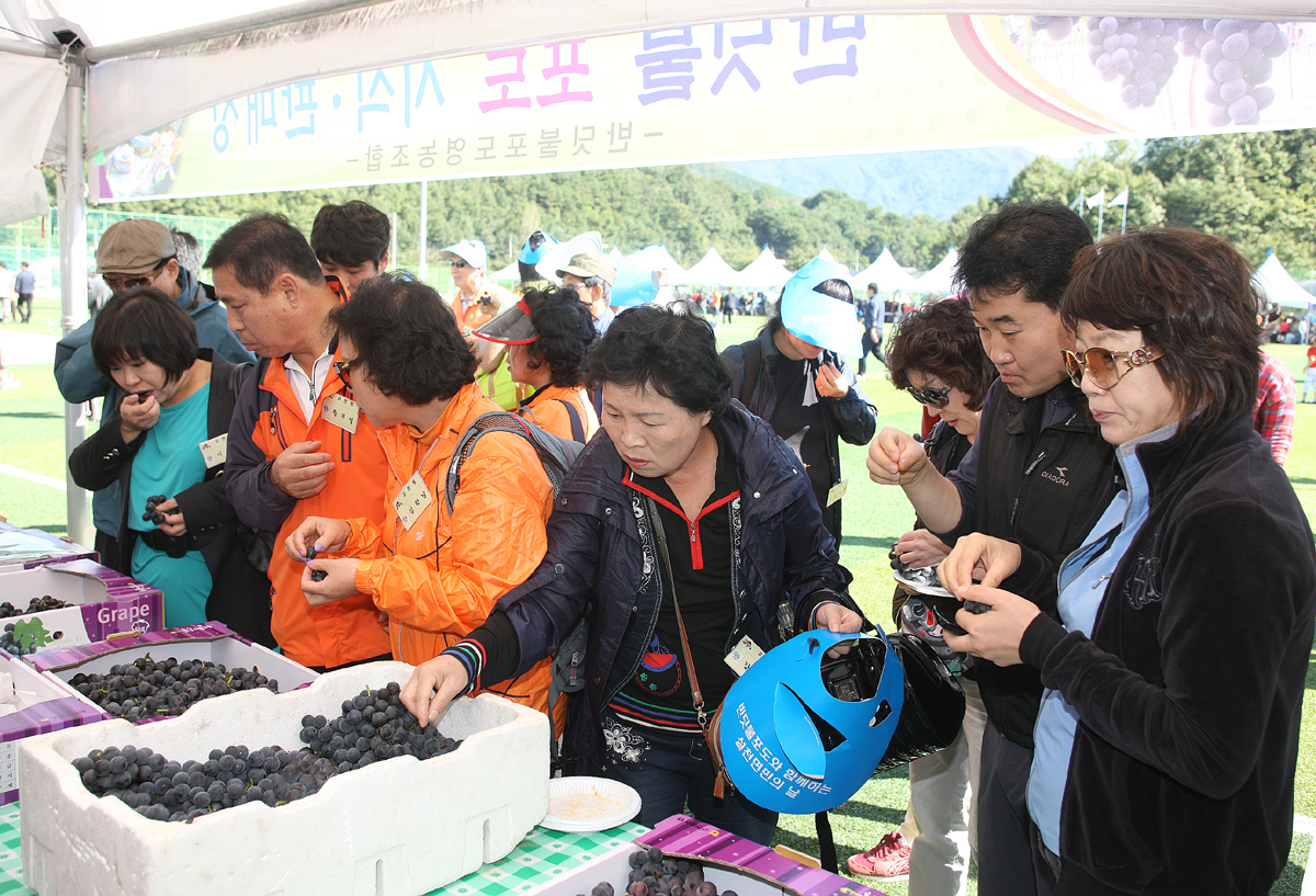 2012.10.03  반딧불포도와 함께 하는 제21회 설천면민의 날