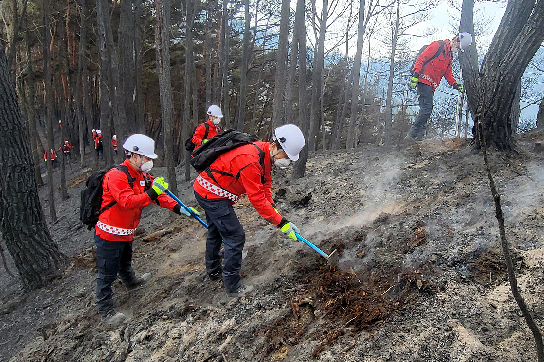 2025.03.27. 부남면 산불 진화 현장 (무주군 공무원 산불진화대)