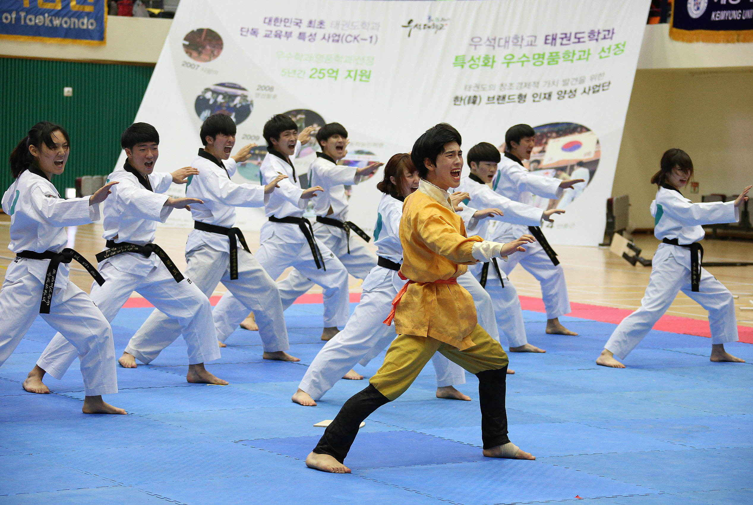 2014.11.29. 제10회 웰빙태권체조 및 시범경연 페스티벌
