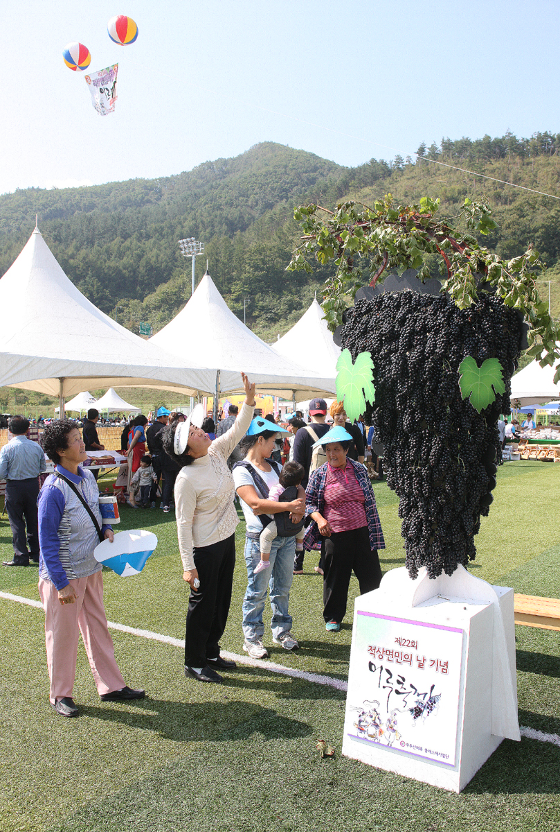 2012.09.22  제22회 적상면민의 날 머루축제-머루와인 족욕체험