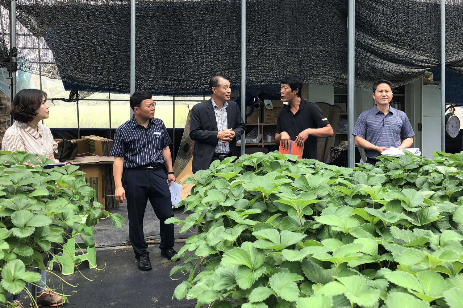 2019.08.16. 무주농업기술센터 농촌진흥 시범사업 현장지도 