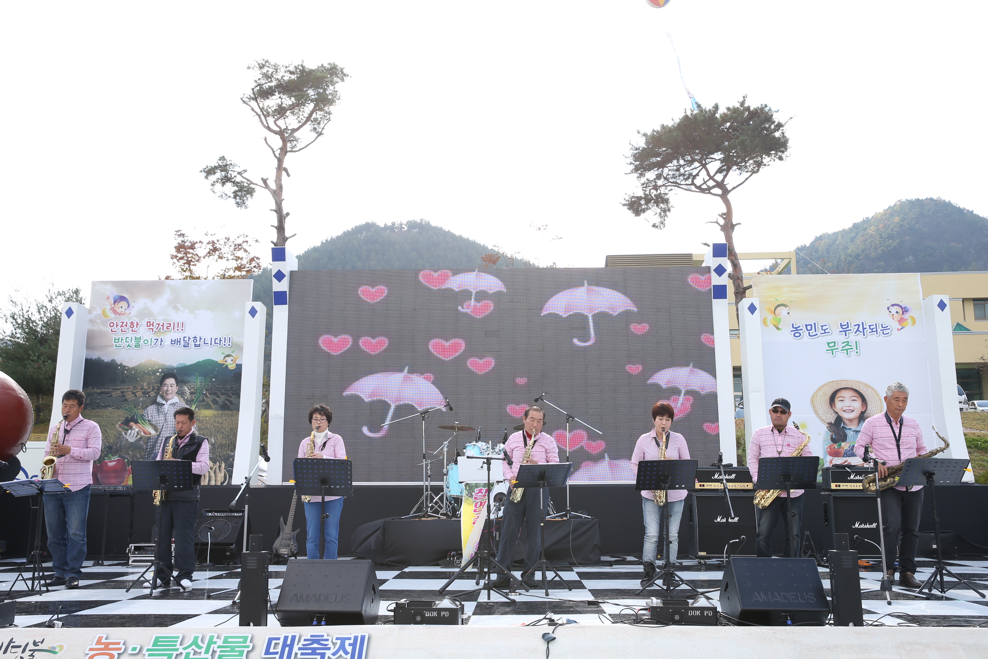 2016.11.05. 제2회 무주 반딧불 농특산물 대축제-(사)무주군생활문화예술동호회 공연