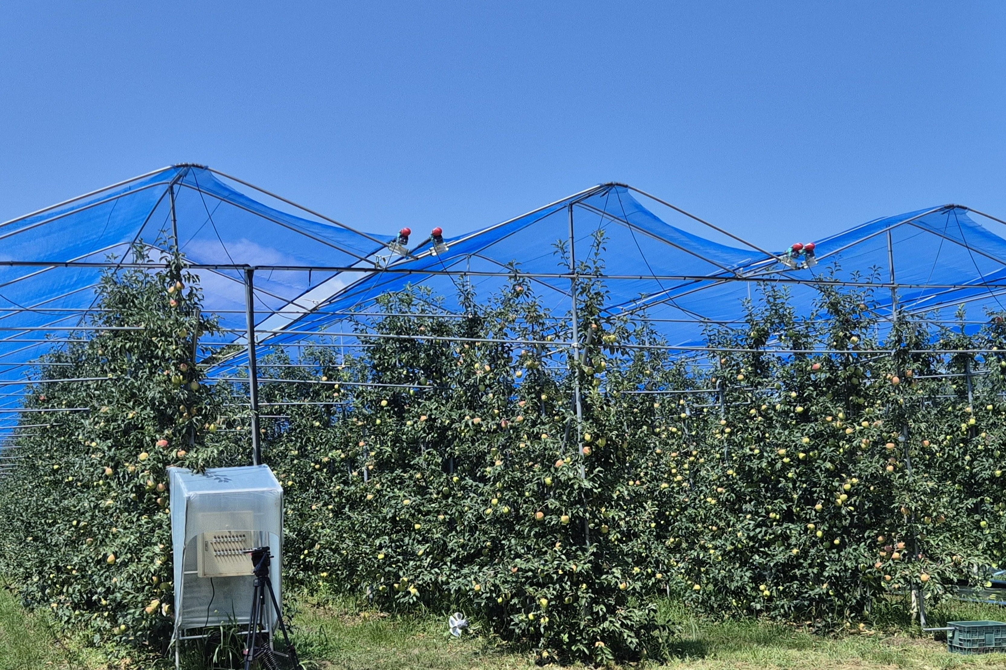 2025.06.20. 무주군 햇빛 차단망 보급 시범사업 