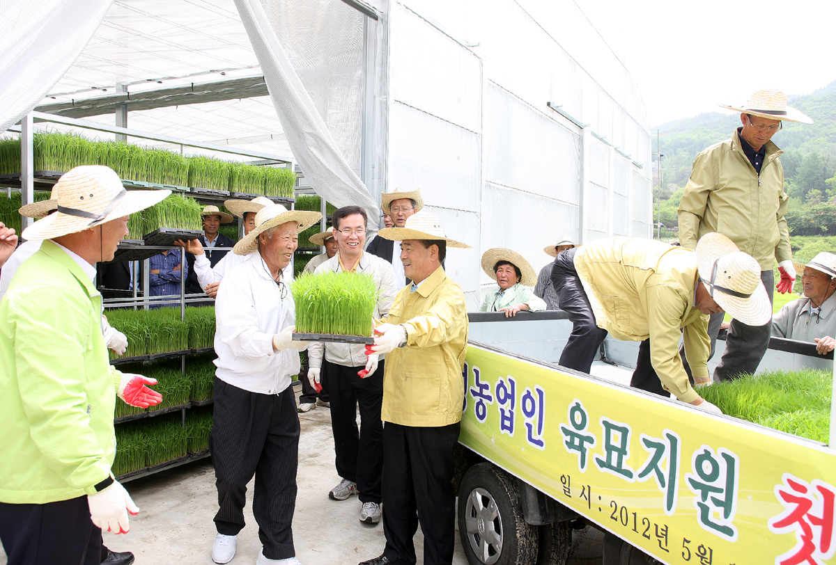 2012.05.15  고령농업인 육묘지원 첫 출하