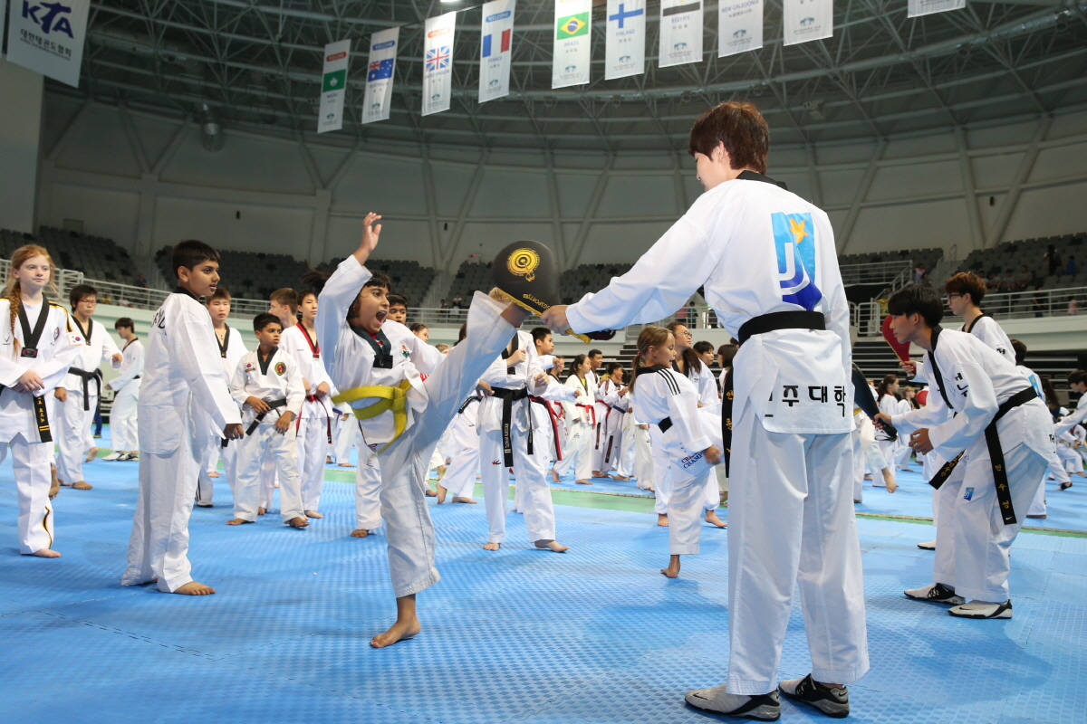 제8회 세계 태권도문화 엑스포 세미나 