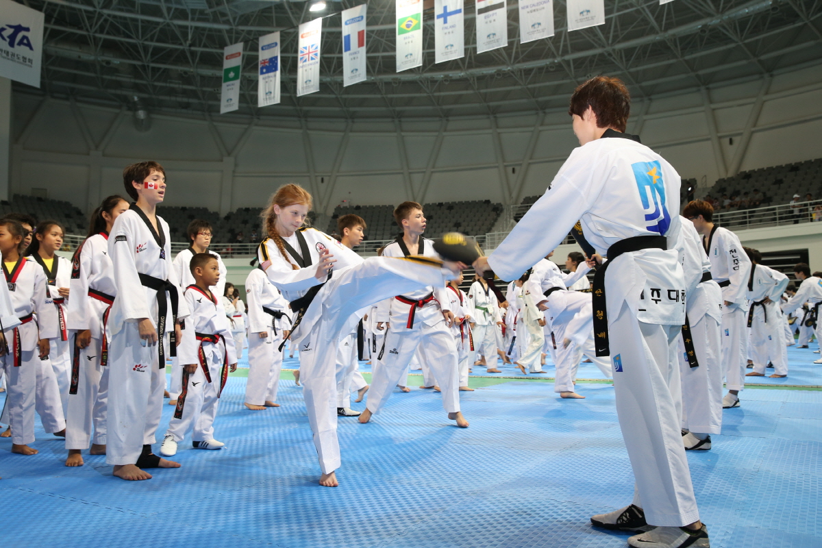 제8회 세계 태권도문화 엑스포 세미나 