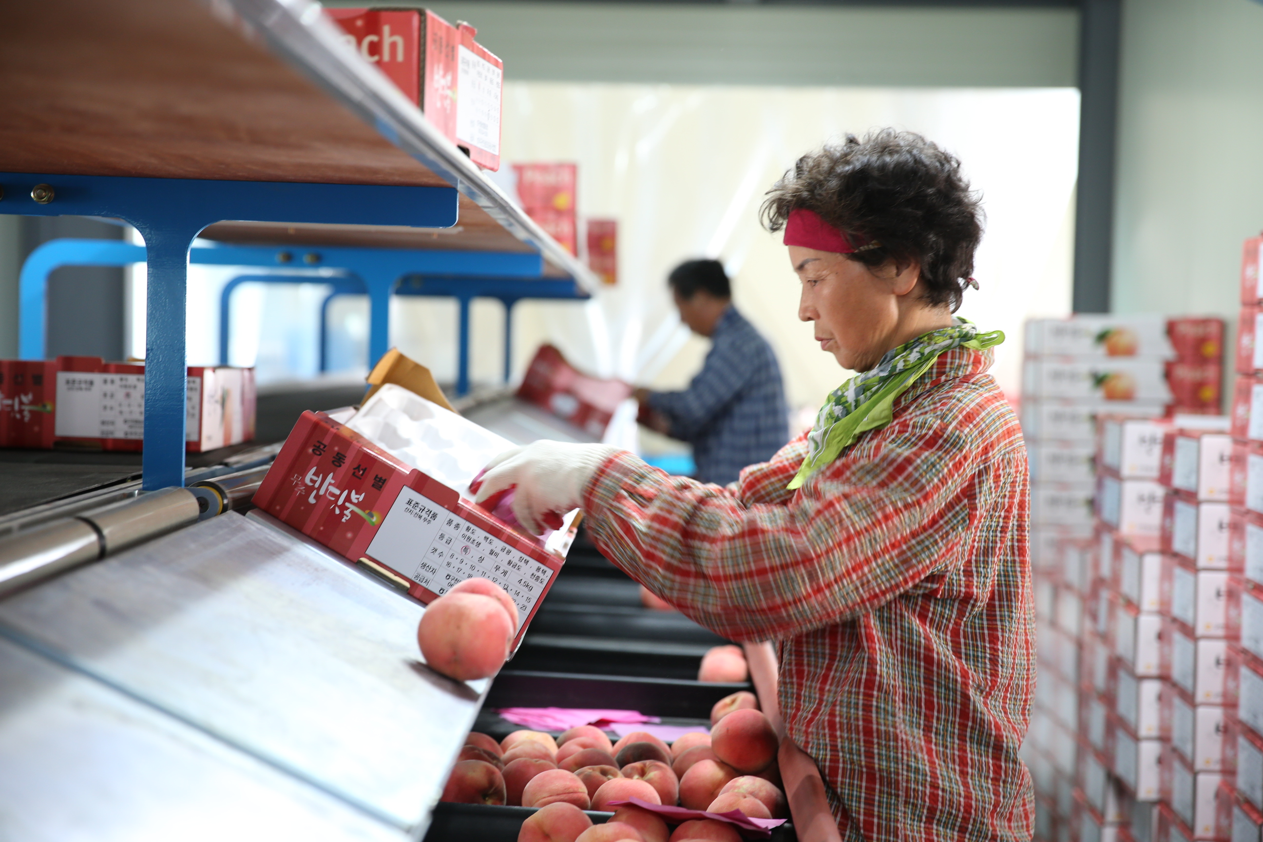 2013.08.20 반딧불복숭아