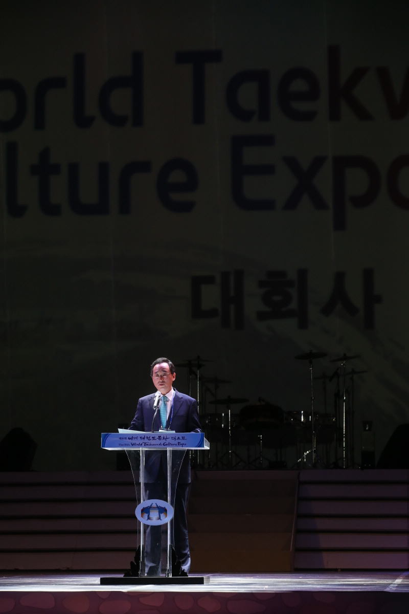 제8회 세계 태권도문화 엑스포 개막식 2