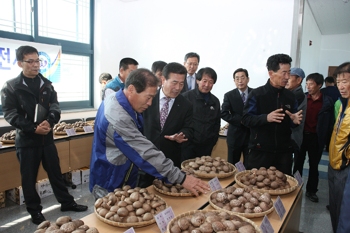 2012.10.19 2012년 표고버섯 배지재배 평가회