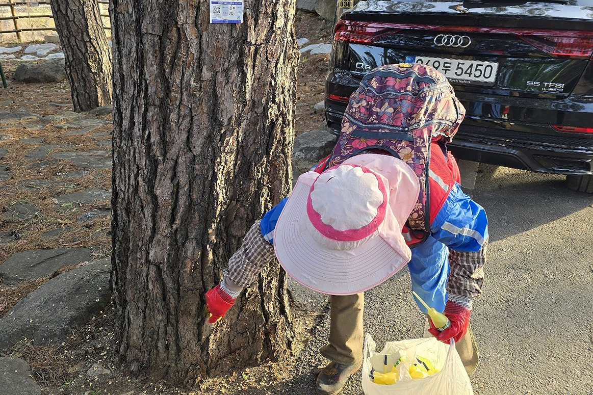 2025.03.26. 무주군 소나무재선충 방제 총력 예방나무 주사 주입