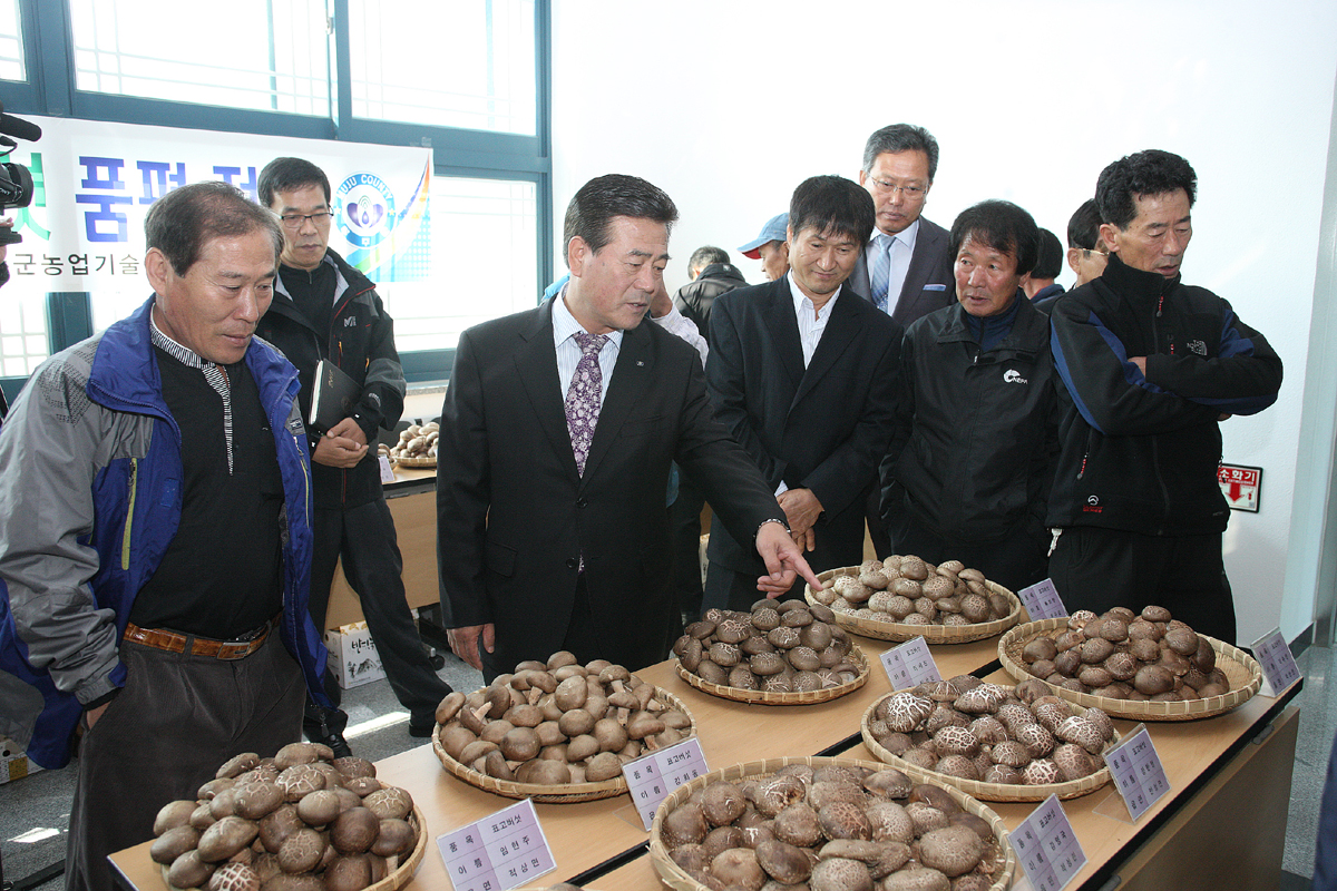 2012.10.19 2012년 표고버섯 배지재배 평가회