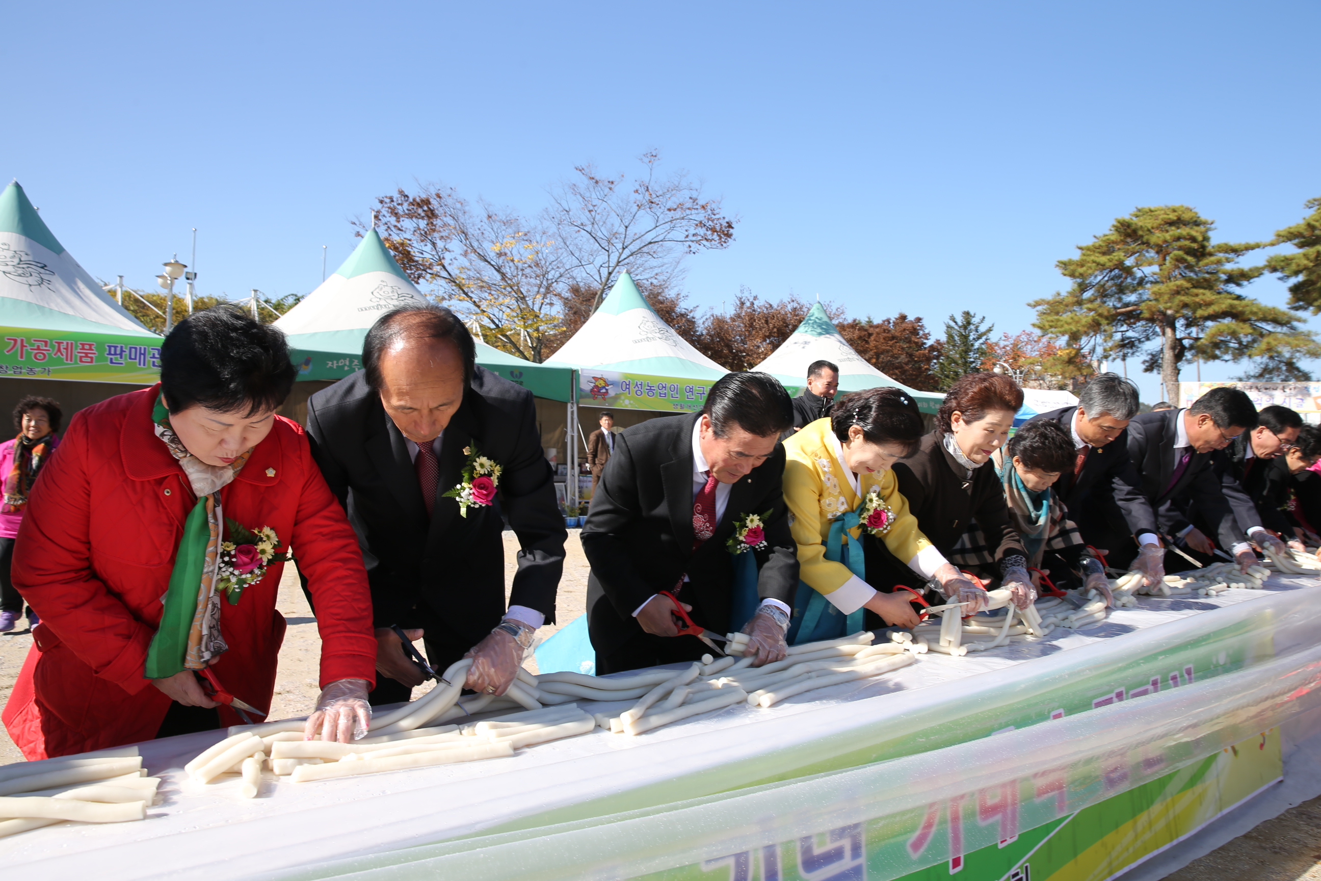2013.11.11 2013. 농업인 한마음 축제