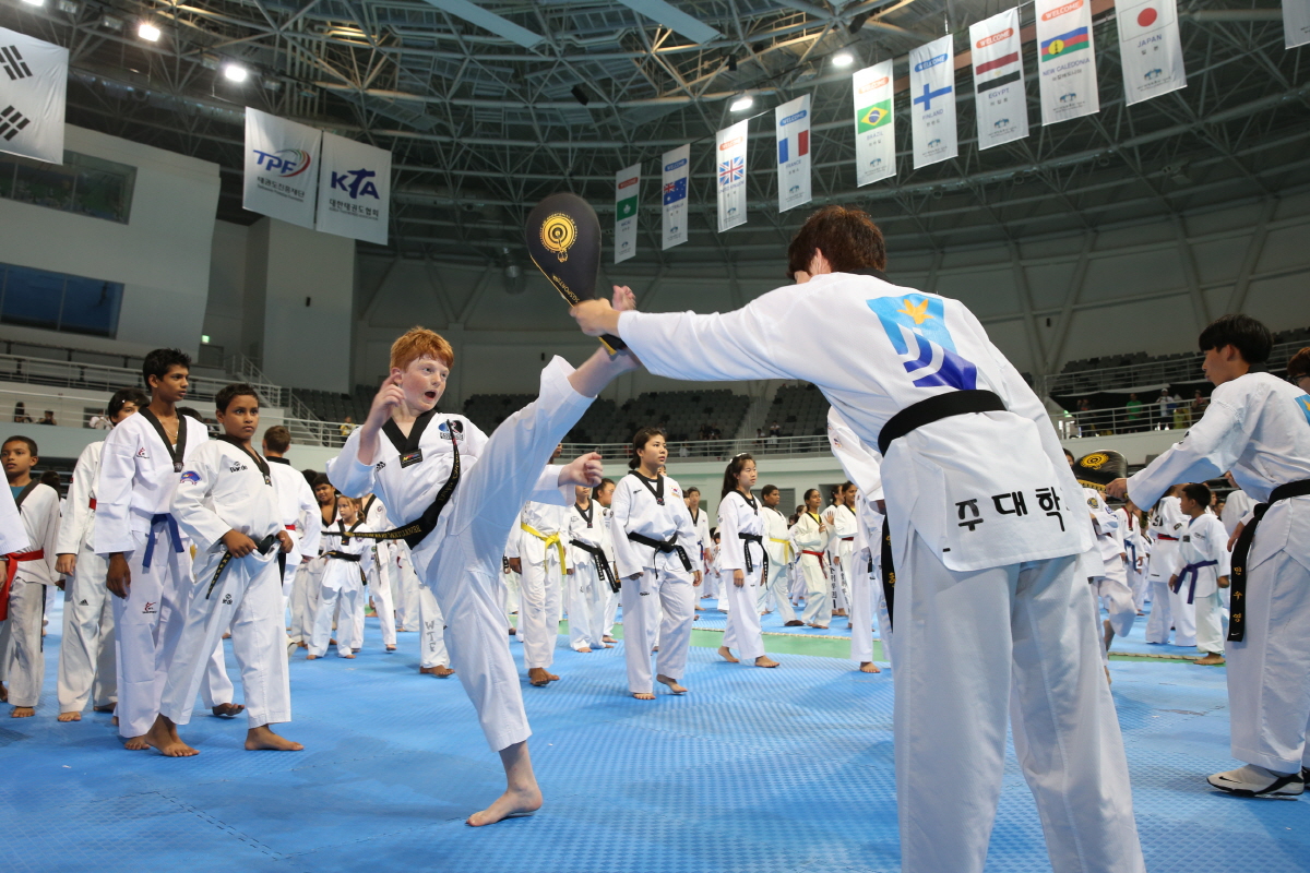 제8회 세계 태권도문화 엑스포 세미나 