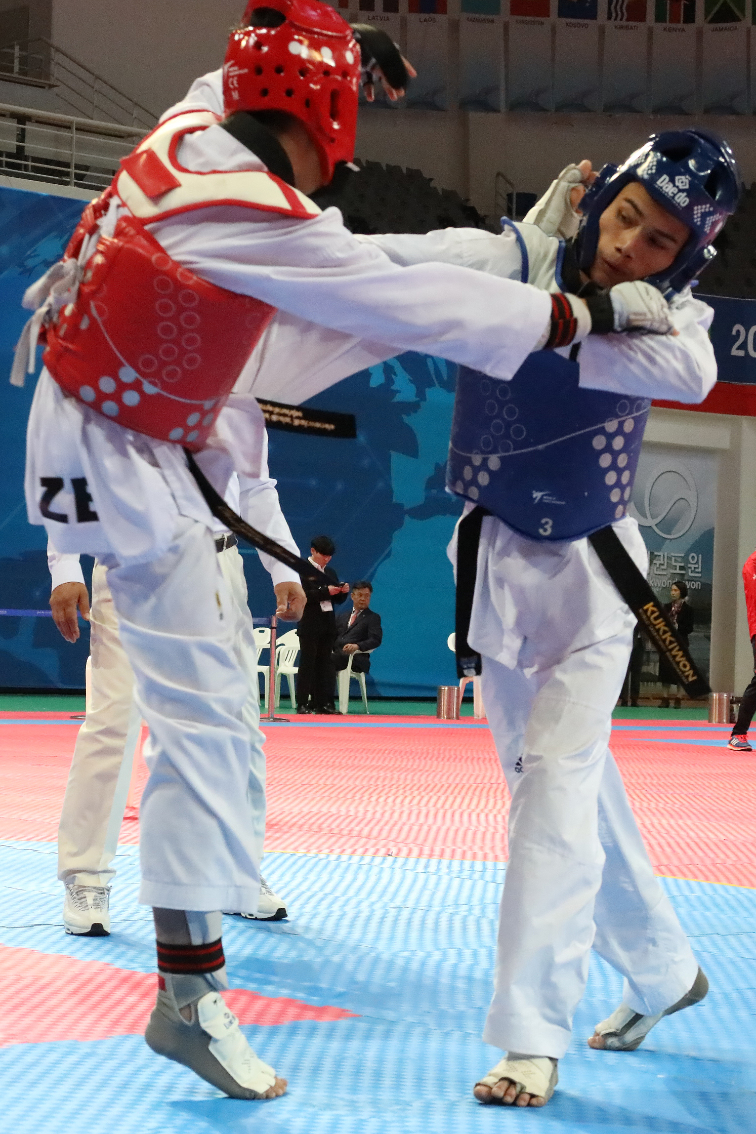 2019.11.13. 2019 대사배 태권도대회 세계결선