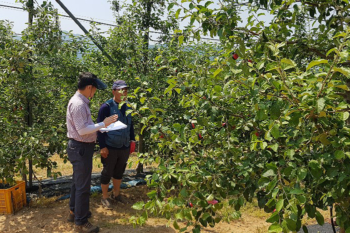 2019.06.07. 무주 당면영농지도