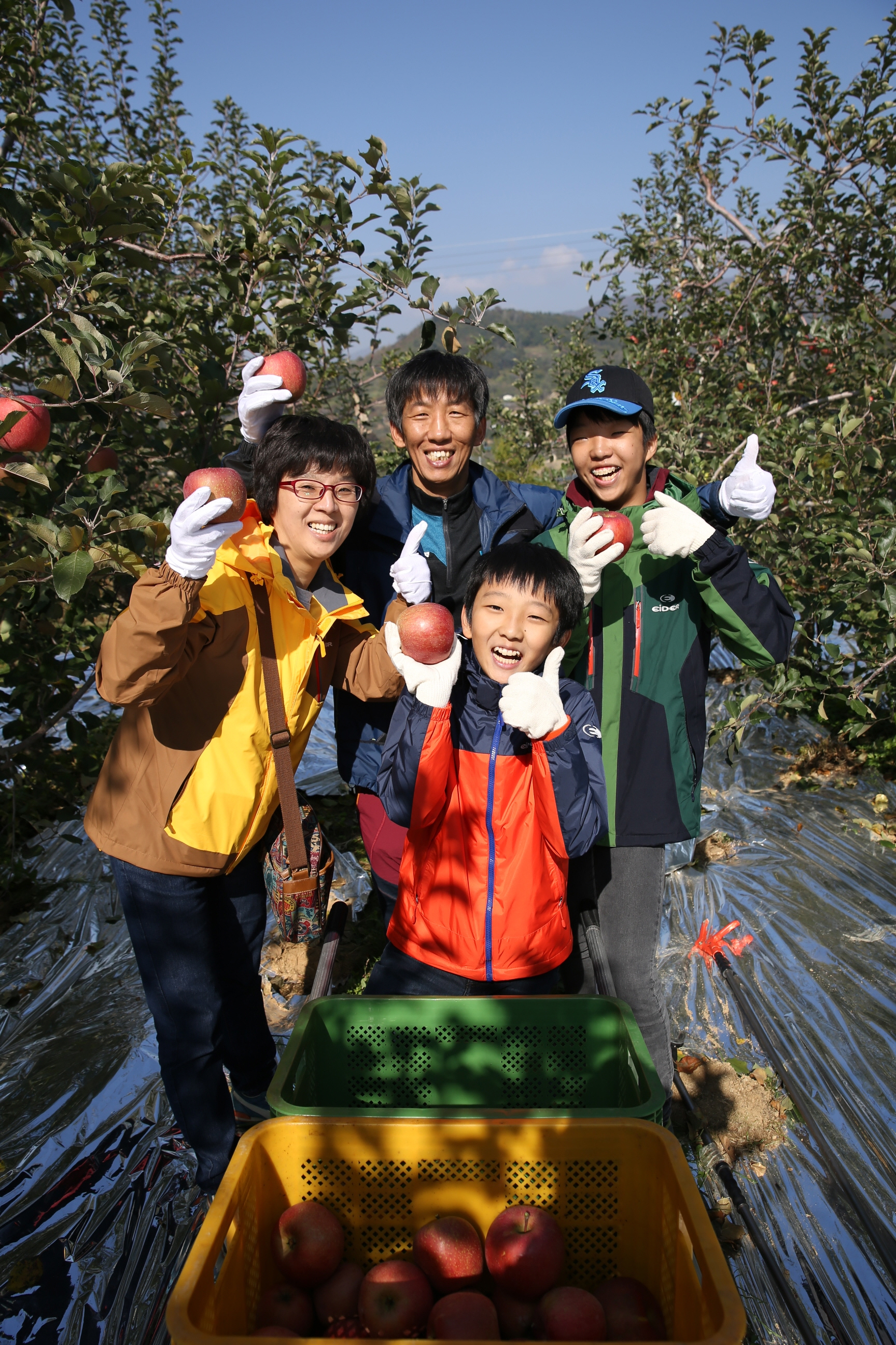 2013.10.26 제24회 무풍면민의 날 기념 사과축제