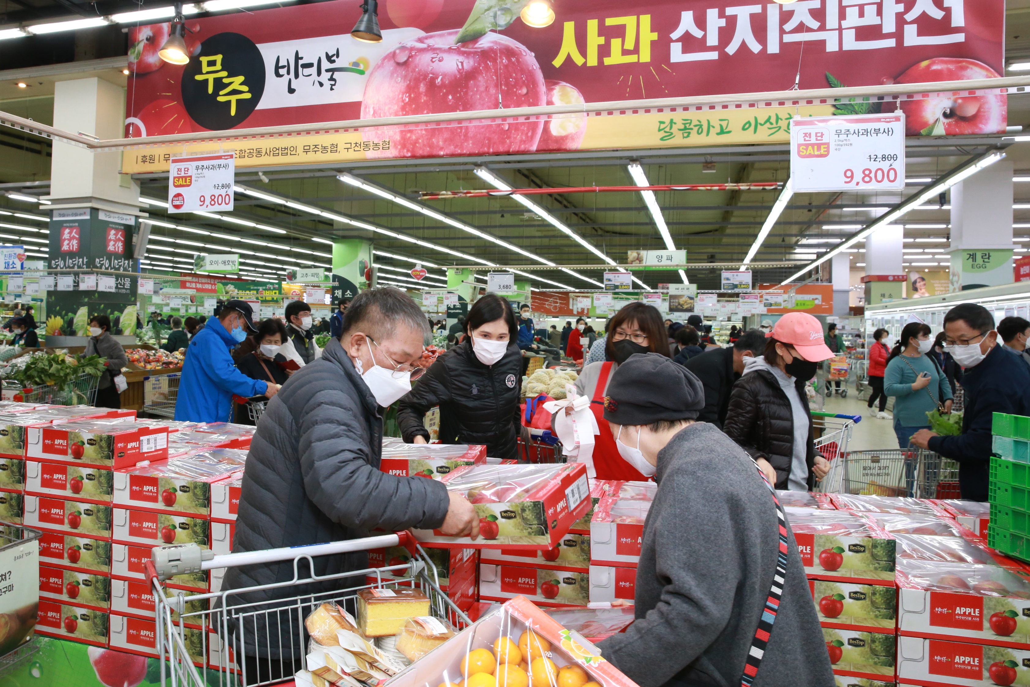 2021.11.18. 반딧불사과 양재하나로클럽 판촉행사