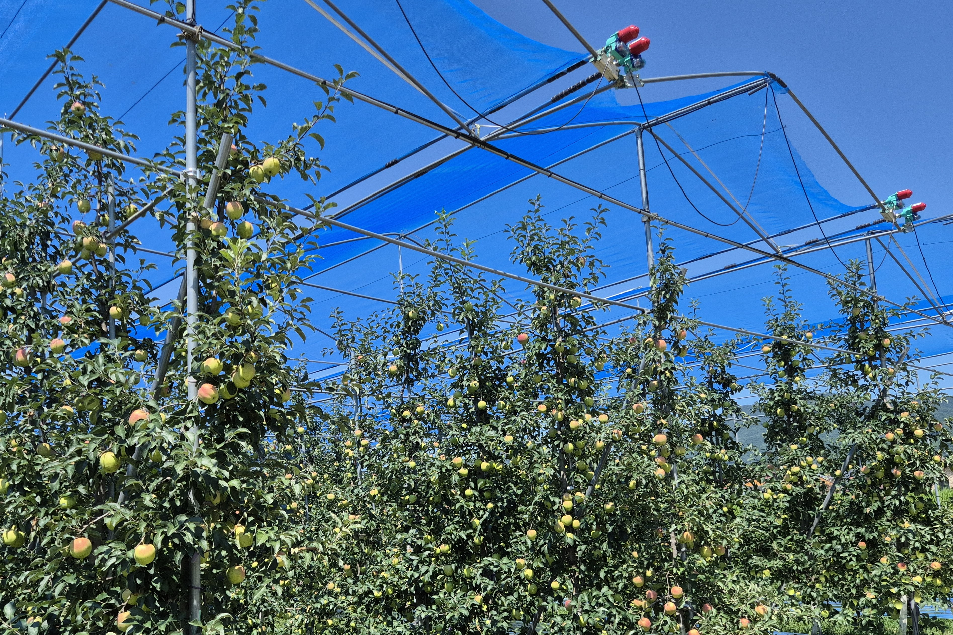 2025.06.20. 무주군 햇빛 차단망 보급 시범사업 