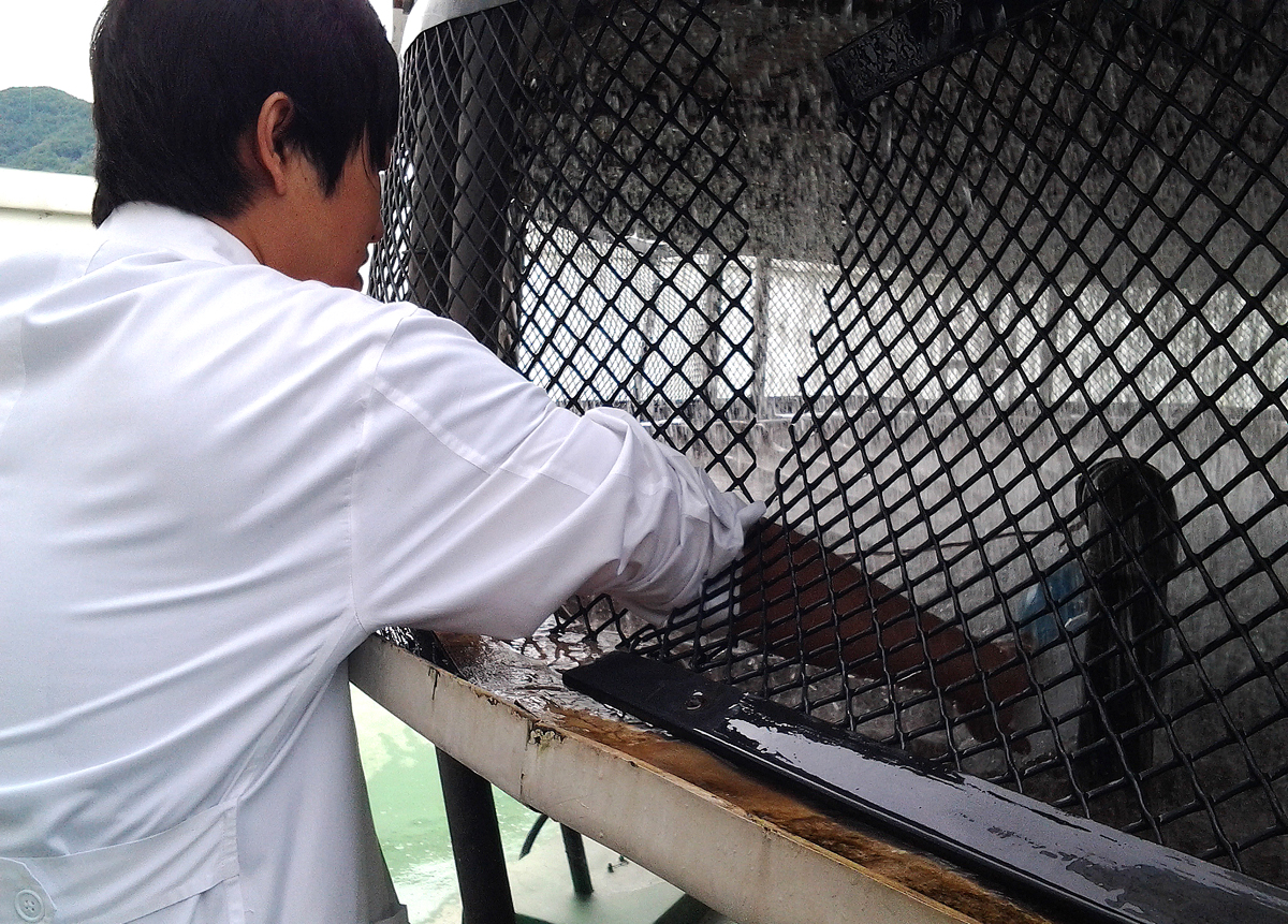 2012.08.20  레지오넬라균 검사