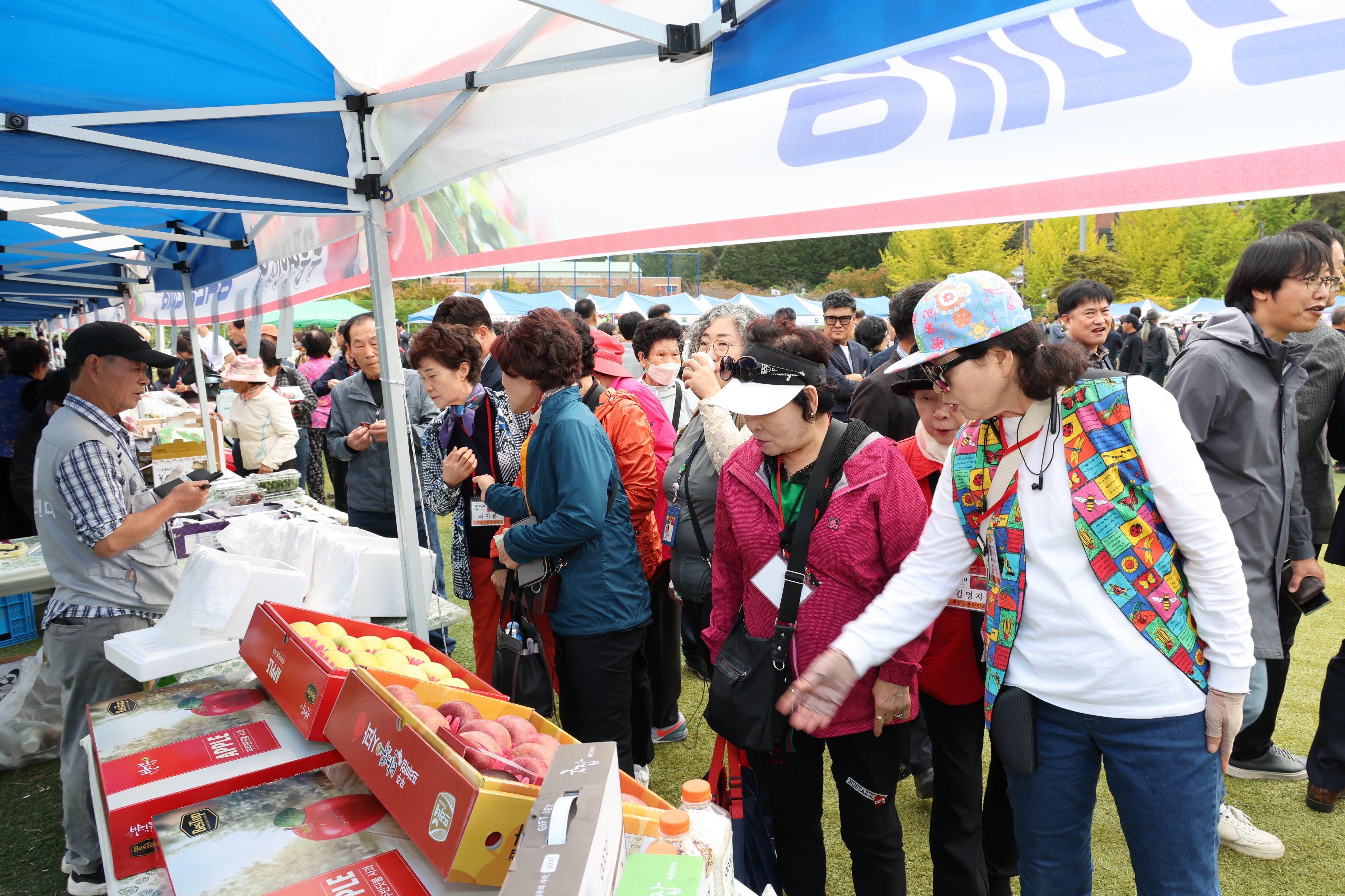 2025.10.17. 제36회 사과골 무풍면민의 날