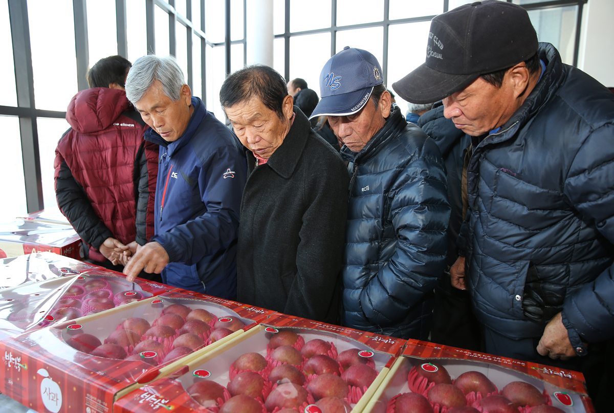 2013.12.12 사과 병해충 방제체계 구축사업 평가회 